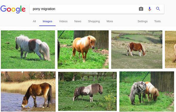 ponies, lol